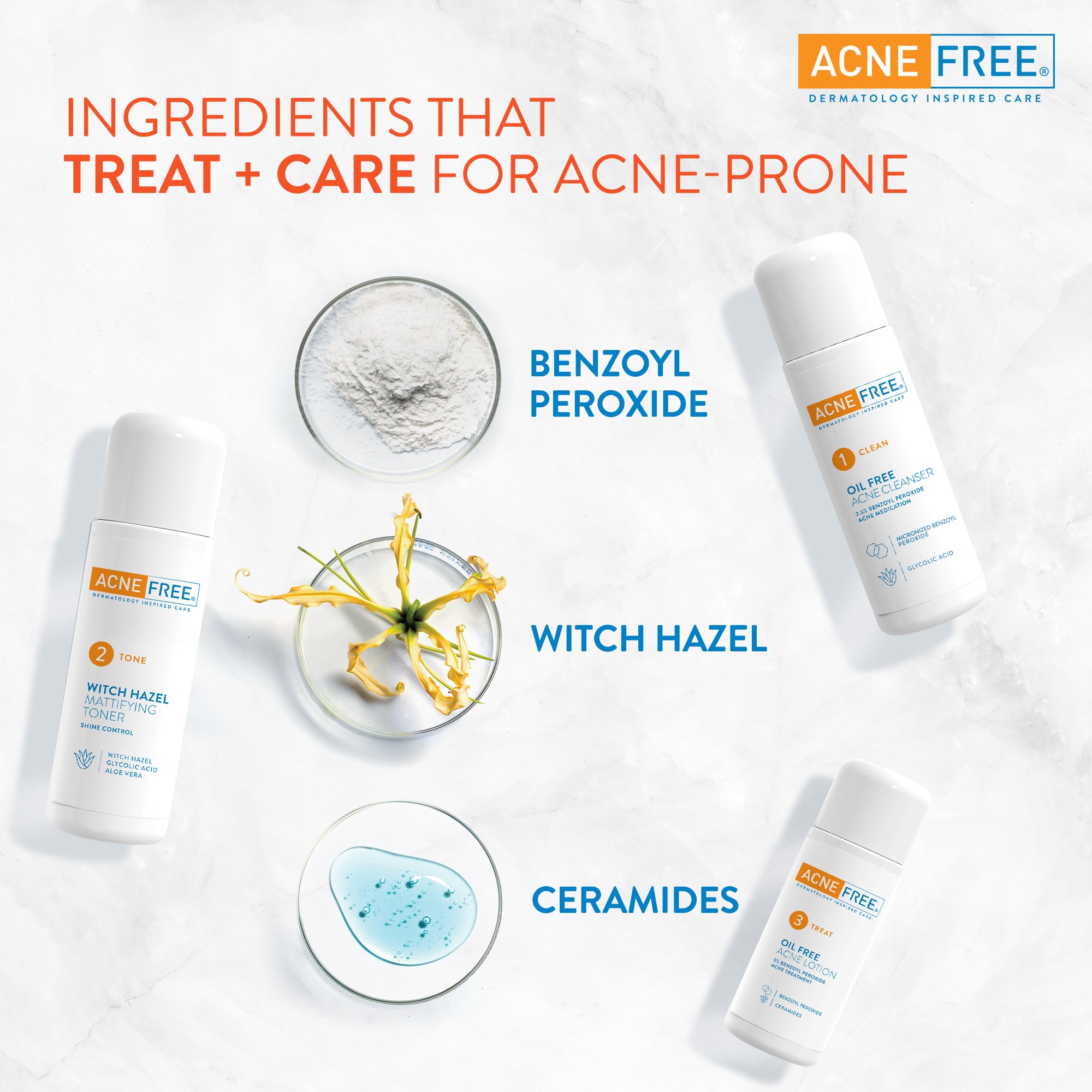 Oil Free 24 HR Acne Clearing System 3PC Kit