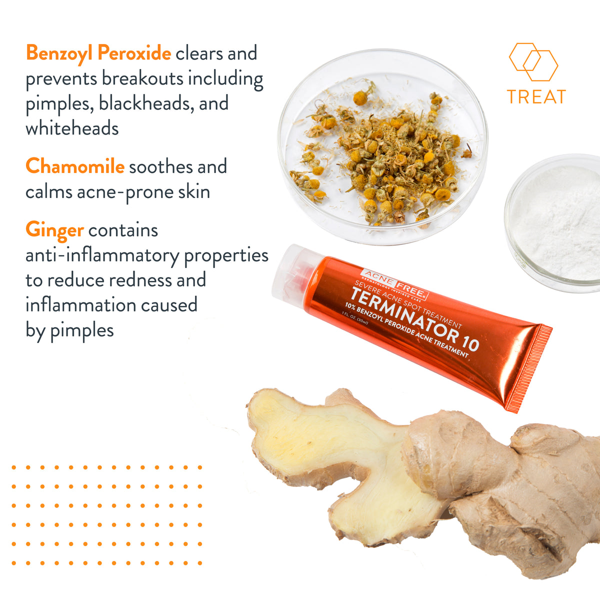 Acne Terminator Terminator 10 30ml | AcnFree - AcneFree Dermatology Inspired Care